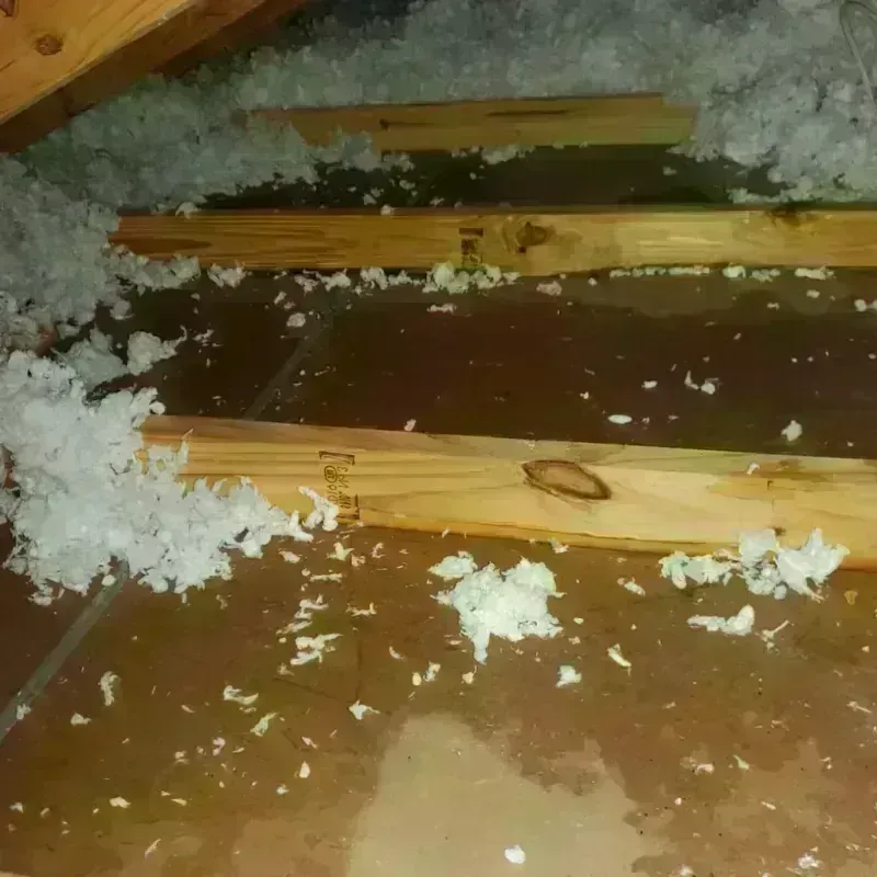 Attic Water Damage in Gray County, KS