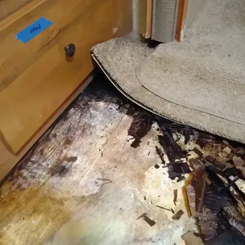 Wood Floor Water Damage in Gray County, KS